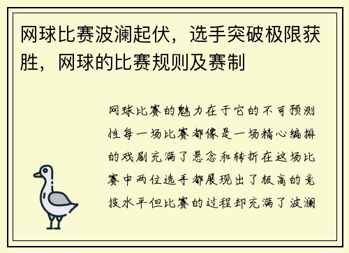 网球比赛波澜起伏，选手突破极限获胜，网球的比赛规则及赛制